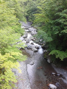 140531_062555.jpg
